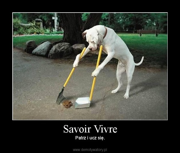Savoir Vivre – Patrz i ucz się. 