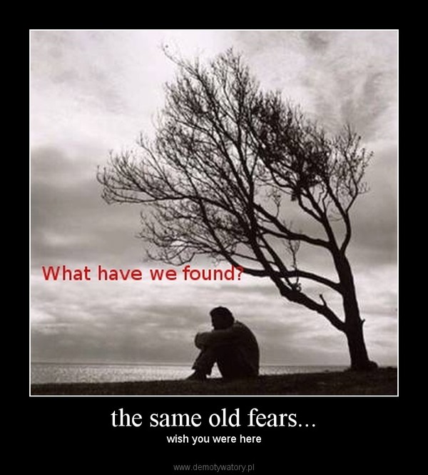 the same old fears... – wish you were here 