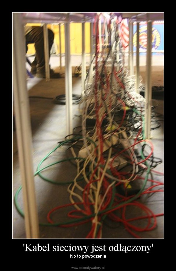 'Kabel sieciowy jest odłączony' – No to powodzenia 