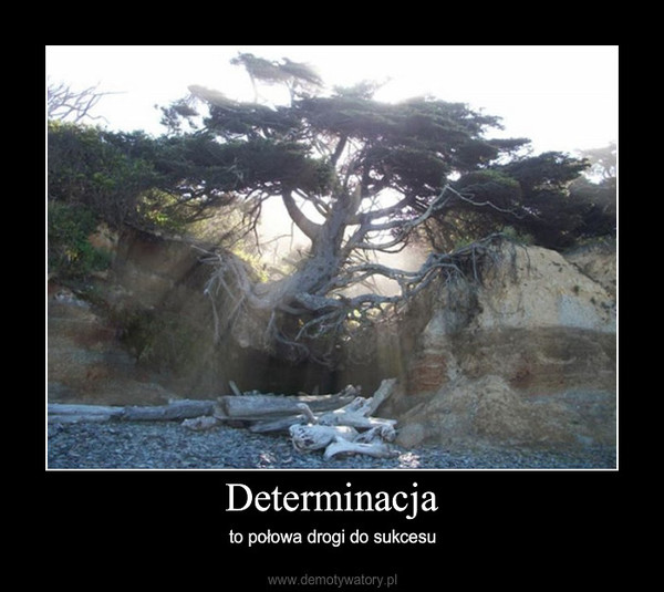 Determinacja – to połowa drogi do sukcesu 