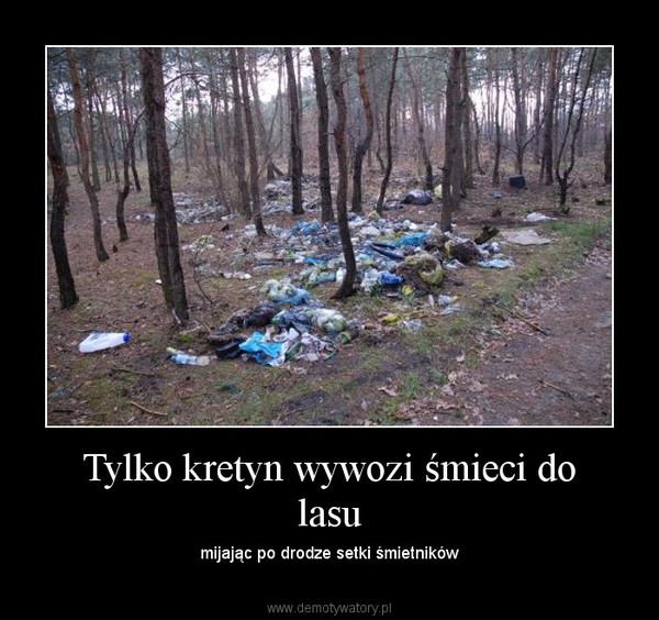Tylko kretyn wywozi śmieci do lasu – mijając po drodze setki śmietników 