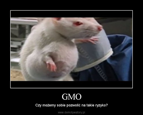 GMO – Czy możemy sobie pozwolić na takie ryzyko? 