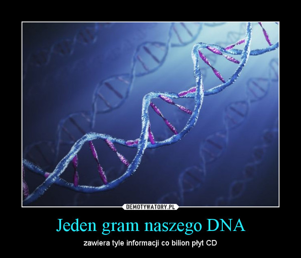 Jeden gram naszego DNA