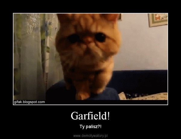 Garfield! – Ty palisz?! 
