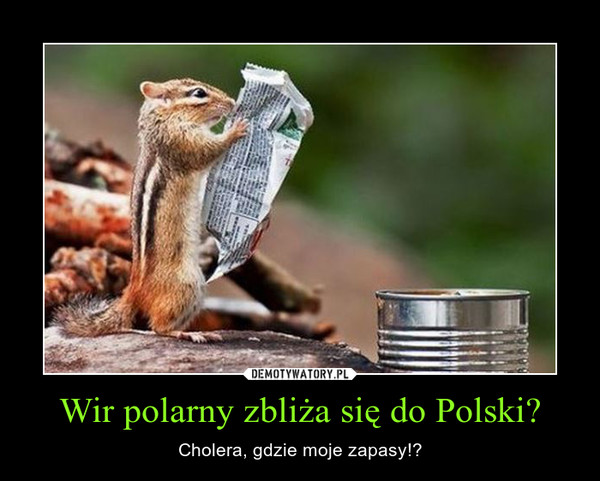 Wir polarny zbliża się do Polski? – Cholera, gdzie moje zapasy!? 