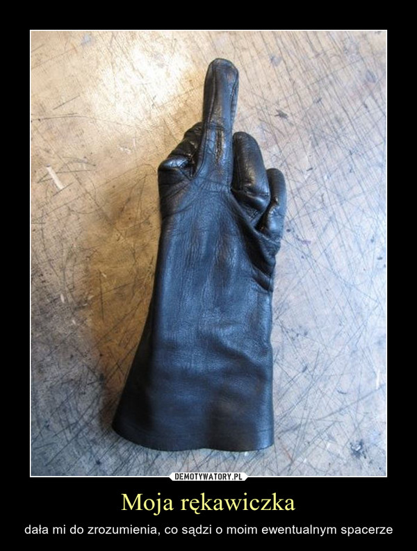 Moja rękawiczka