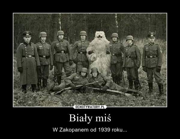 Biały miś – W Zakopanem od 1939 roku... 