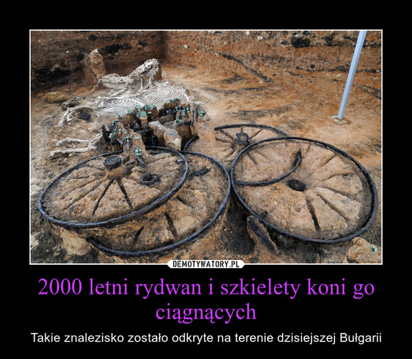 2000 letni rydwan i szkielety koni go ciągnących – Takie znalezisko zostało odkryte na terenie dzisiejszej Bułgarii 