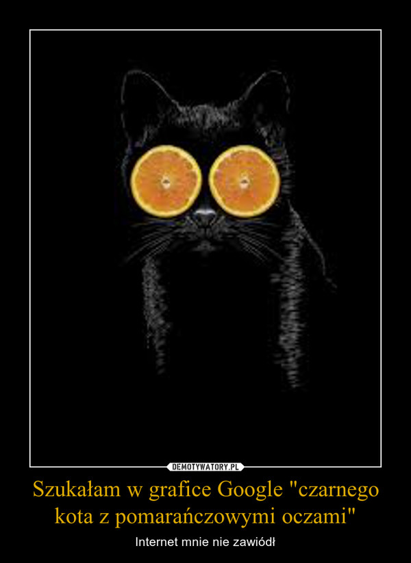 Szukałam w grafice Google "czarnego kota z pomarańczowymi oczami" – Internet mnie nie zawiódł 