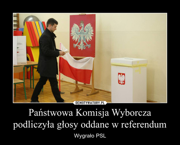 Państwowa Komisja Wyborcza podliczyła głosy oddane w referendum