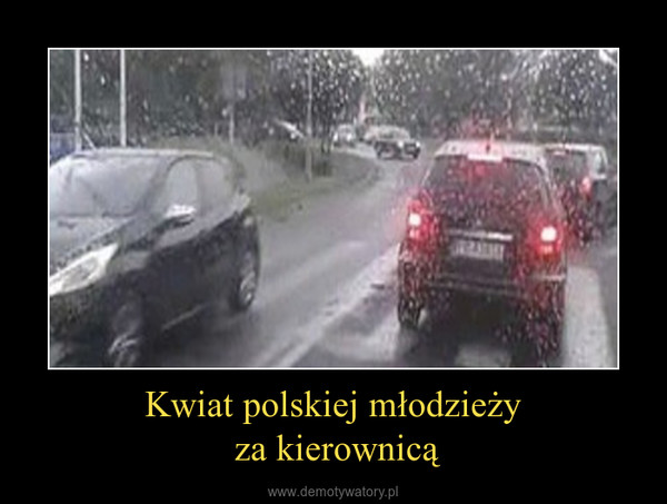 Kwiat polskiej młodzieży za kierownicą –  
