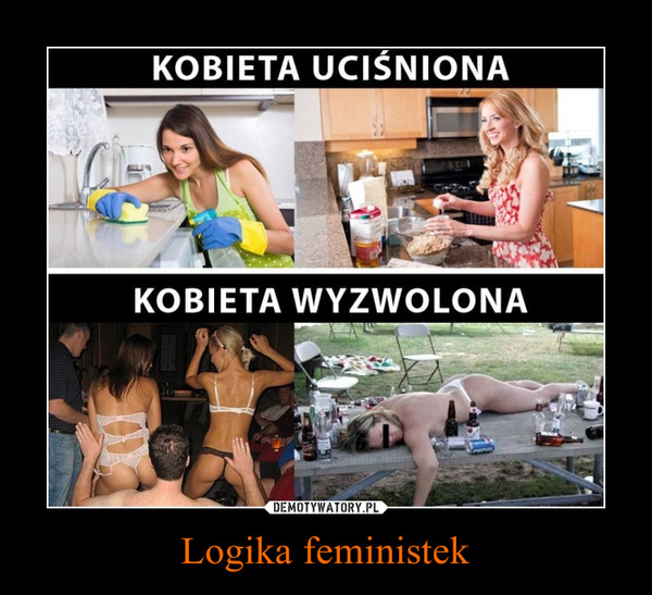 Logika feministek –  