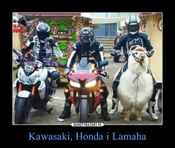 Kawasaki, Honda i Lamaha
