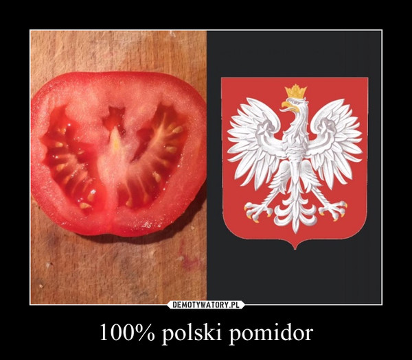 100% polski pomidor –  