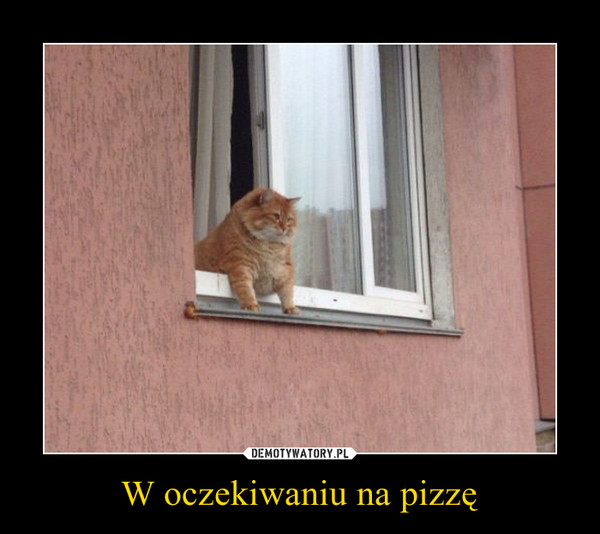 W oczekiwaniu na pizzę –  