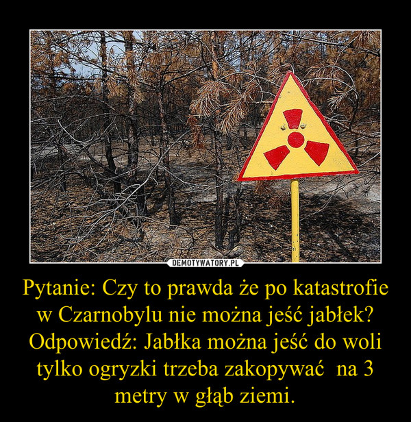 Pytanie: Czy to prawda że po katastrofie w Czarnobylu nie można jeść jabłek?Odpowiedź: Jabłka można jeść do woli tylko ogryzki trzeba zakopywać  na 3 metry w głąb ziemi. –  