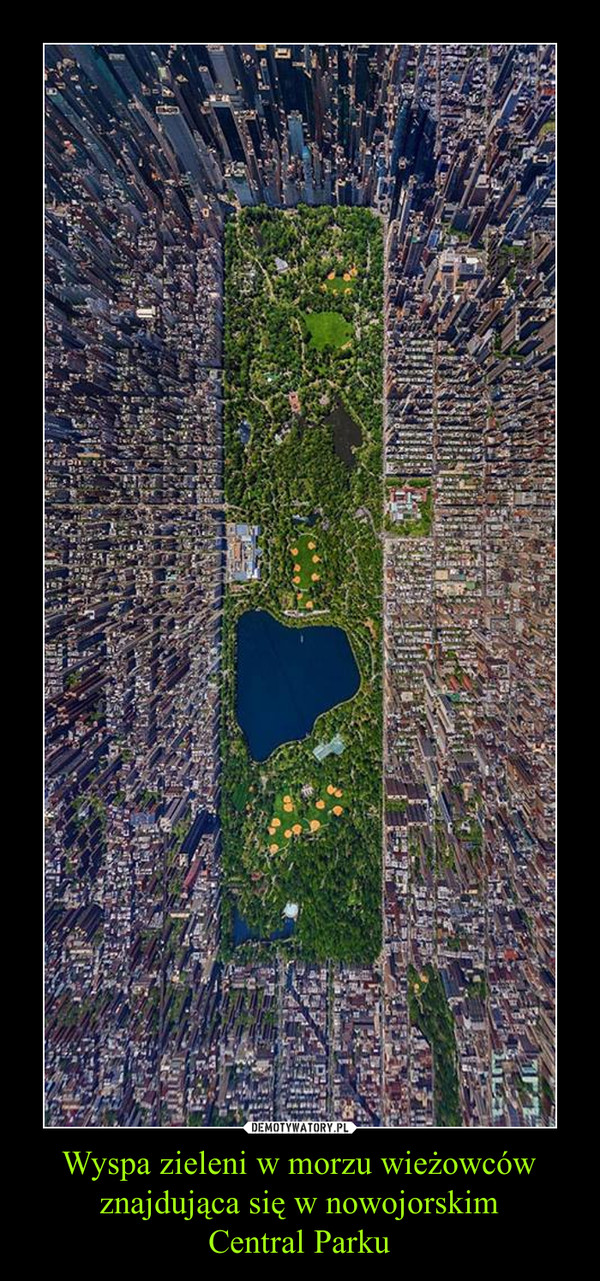 Wyspa zieleni w morzu wieżowców znajdująca się w nowojorskimCentral Parku –  
