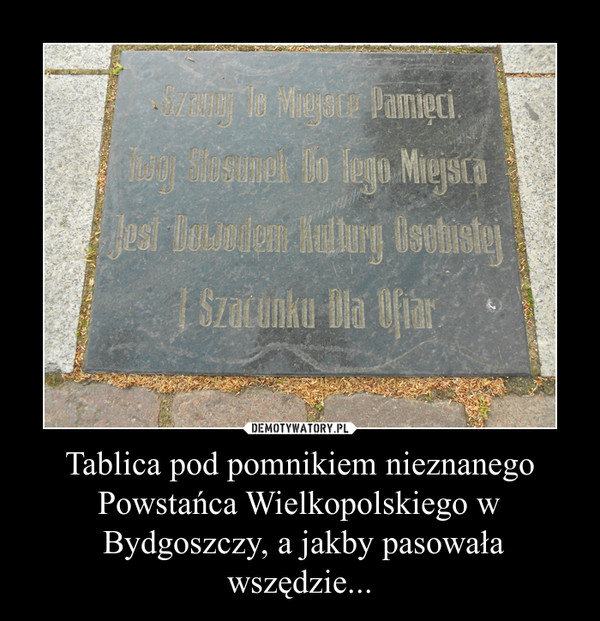 Tablica pod pomnikiem nieznanego Powstańca Wielkopolskiego w Bydgoszczy, a jakby pasowała wszędzie... –  