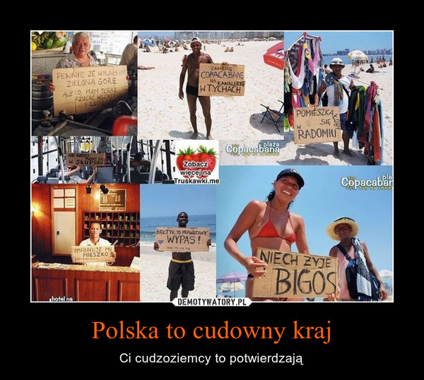 Polska to cudowny kraj – Ci cudzoziemcy to potwierdzają 