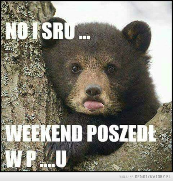 A było tak pięknie... –  