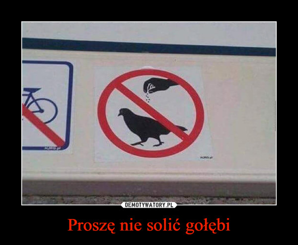 Proszę nie solić gołębi –  
