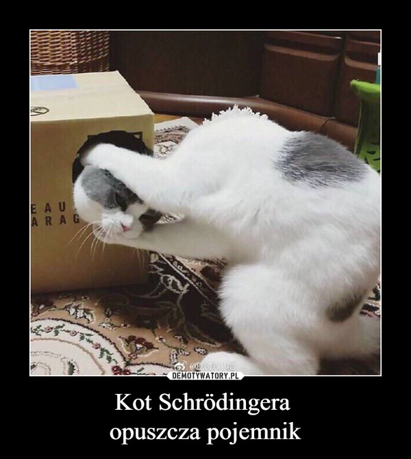 Kot Schrödingera opuszcza pojemnik –  