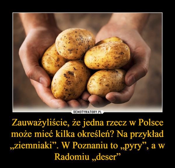 Zauważyliście, że jedna rzecz w Polsce może mieć kilka określeń? Na przykład „ziemniaki”. W Poznaniu to „pyry”, a w Radomiu „deser”