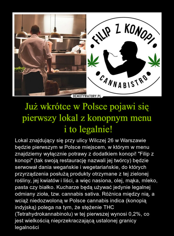 Już wkrótce w Polsce pojawi się pierwszy lokal z konopnym menu
 i to legalnie!