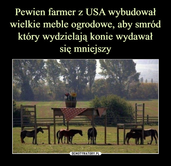Pewien farmer z USA wybudował wielkie meble ogrodowe, aby smród który wydzielają konie wydawał
się mniejszy