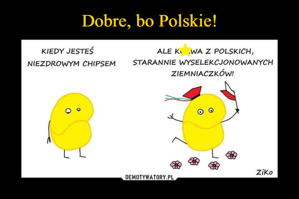 –  kiedy jesteś niezdrowym chipsemale kurwa z polskich starannie wyselekcjonowanych ziemniaczków!