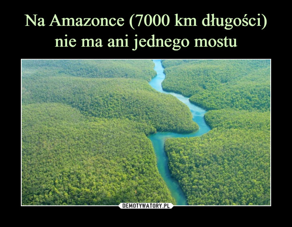 Na Amazonce (7000 km długości) nie ma ani jednego mostu