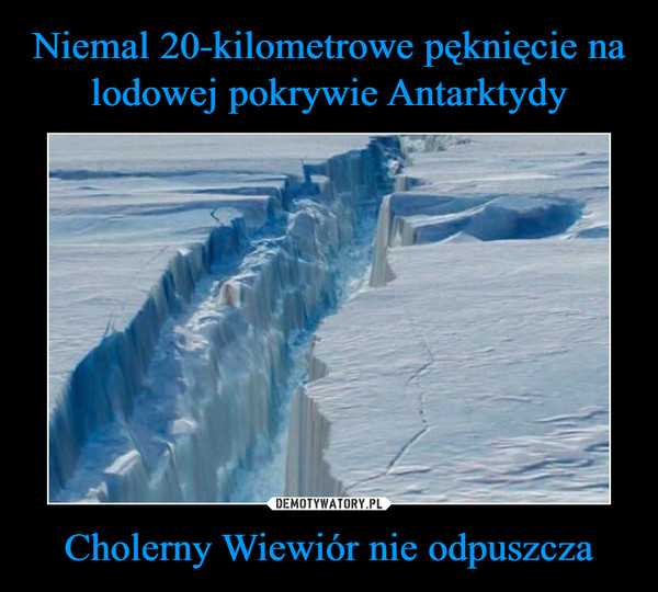 Cholerny Wiewiór nie odpuszcza –  
