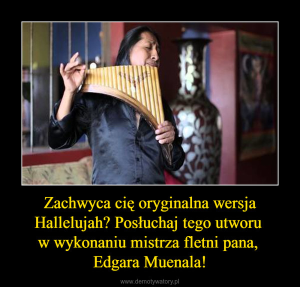 Zachwyca cię oryginalna wersja Hallelujah? Posłuchaj tego utworu w wykonaniu mistrza fletni pana, Edgara Muenala! –  