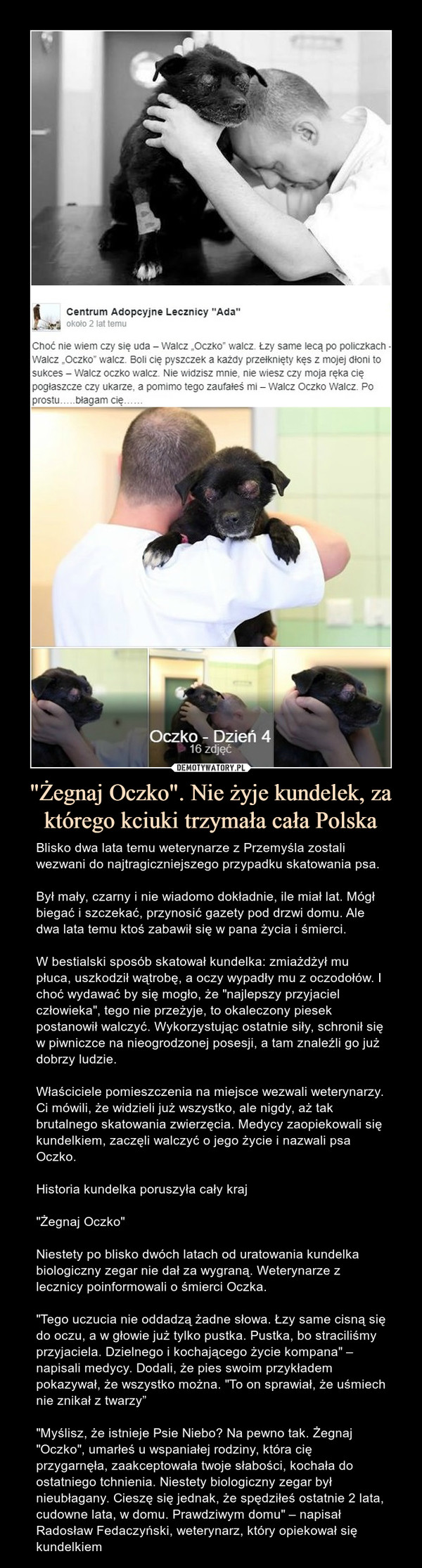 "Żegnaj Oczko". Nie żyje kundelek, za którego kciuki trzymała cała Polska