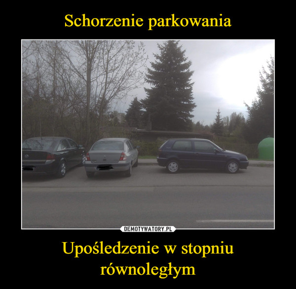 Upośledzenie w stopniu równoległym –  