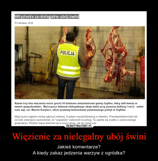 Więzienie za nielegalny ubój świni
