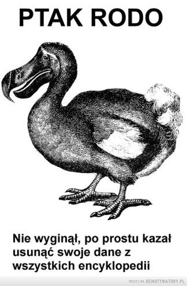 Ptak RODO –  PTAK RODO Nie wyginął, po prostu kazał usunąć swoje dane z wszystkich encyklopedii