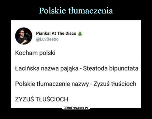 Polskie tłumaczenia