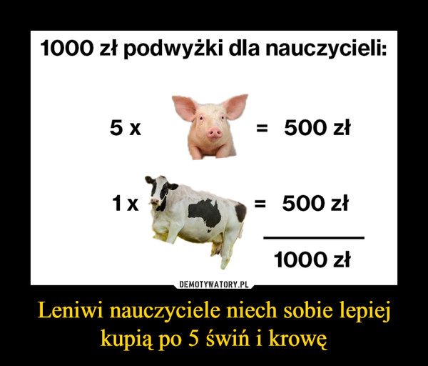 Leniwi nauczyciele niech sobie lepiej kupią po 5 świń i krowę –  