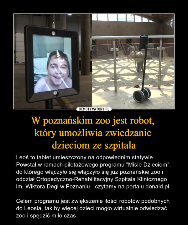 W poznańskim zoo jest robot, 
który umożliwia zwiedzanie 
dzieciom ze szpitala