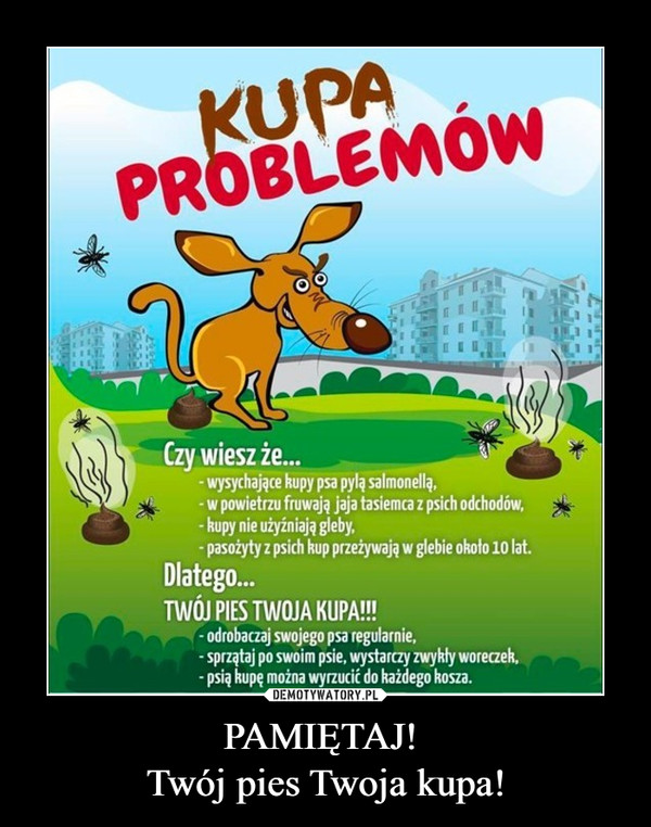 PAMIĘTAJ! Twój pies Twoja kupa! –  Kupa problemów Czy wiesz że wysychające kupy psa pylą salmonellą w powietrzu fruwają jaja tasiemca z psich odchodów kupy nie użyźniają gleby pasożyty z psich kup przeżywają w glebie około 10 lat Dlatego Twój pies Twoja kupa! Odrobaczaj swojego psa regularnie sprzątaj po swoim psie, wystarczy zwykły woreczek Psią kupę można wyrzucić do każdego kosza