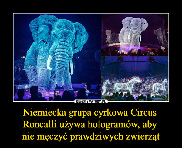 Niemiecka grupa cyrkowa Circus 
Roncalli używa hologramów, aby 
nie męczyć prawdziwych zwierząt