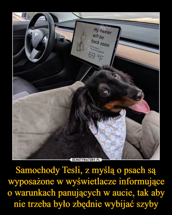 Samochody Tesli, z myślą o psach są wyposażone w wyświetlacze informujące o warunkach panujących w aucie, tak aby nie trzeba było zbędnie wybijać szyby