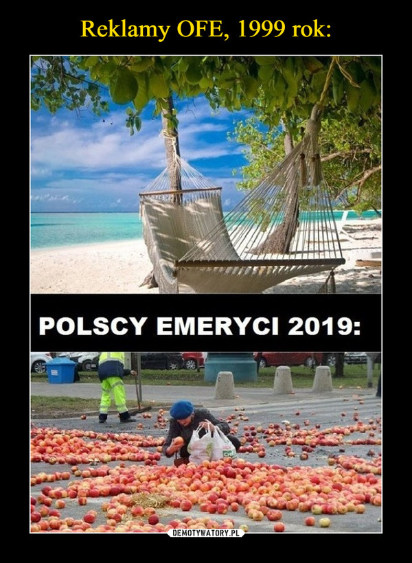  –  POLSCY EMERYCI 2019
