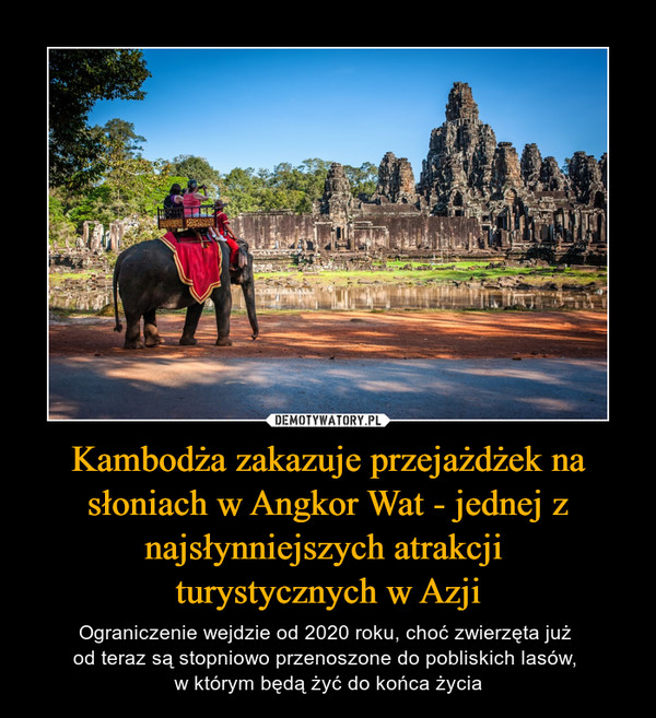 Kambodża zakazuje przejażdżek na słoniach w Angkor Wat - jednej z najsłynniejszych atrakcji 
turystycznych w Azji