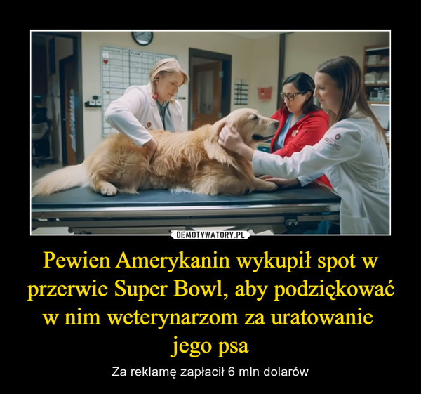 Pewien Amerykanin wykupił spot w przerwie Super Bowl, aby podziękować w nim weterynarzom za uratowanie jego psa – Za reklamę zapłacił 6 mln dolarów 