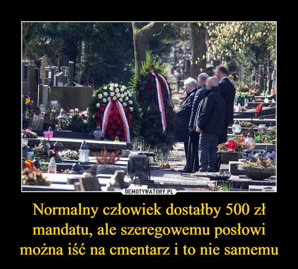 Normalny człowiek dostałby 500 zł mandatu, ale szeregowemu posłowi można iść na cmentarz i to nie samemu –  