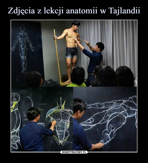 Zdjęcia z lekcji anatomii w Tajlandii