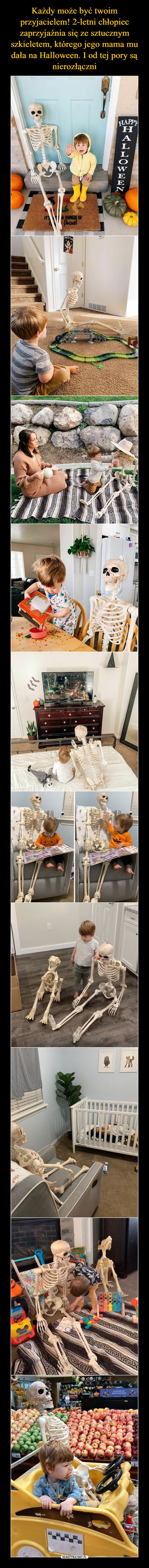 Każdy może być twoim przyjacielem! 2-letni chłopiec zaprzyjaźnia się ze sztucznym szkieletem, którego jego mama mu dała na Halloween. I od tej pory są nierozłączni