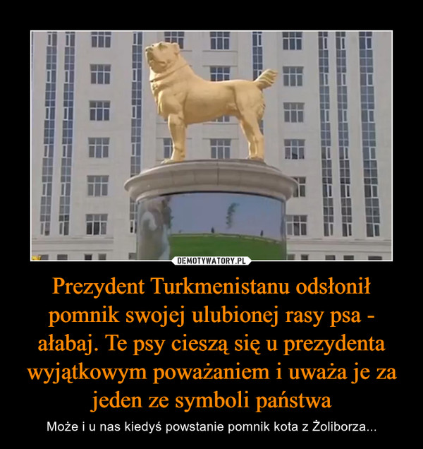 Prezydent Turkmenistanu odsłonił pomnik swojej ulubionej rasy psa - ałabaj. Te psy cieszą się u prezydenta wyjątkowym poważaniem i uważa je za jeden ze symboli państwa – Może i u nas kiedyś powstanie pomnik kota z Żoliborza... 